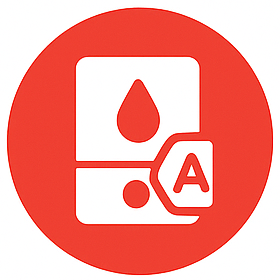 Boiler Installation Icon