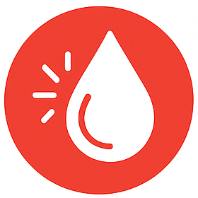 Emergency Boiler Repair Icon